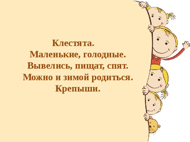 Клестята.  Маленькие, голодные.  Вывелись, пищат, спят.  Можно и зимой родиться.  Крепыши.