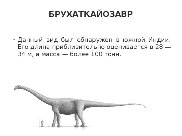 Брухаткайозавр