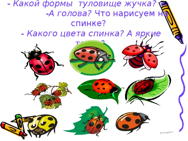 Жуков презентация 1 класс. Урок изо в 1 классе разноцветные жуки. Урок рисования 1 класс разноцветные жуки. Разноцветные букашки изо 1 класс. Разноцветные жуки изо 1 класс презентация.