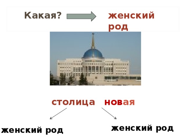 женский род женский род  Какая? столица нов ая женский род