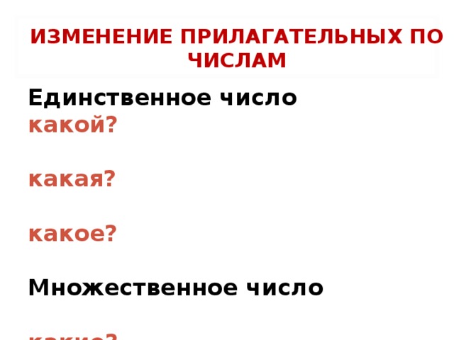 ИЗМЕНЕНИЕ ПРИЛАГАТЕЛЬНЫХ ПО ЧИСЛАМ Единственное число какой?  какая?  какое?  Множественное число  какие?