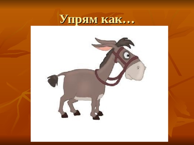 Упрям как…