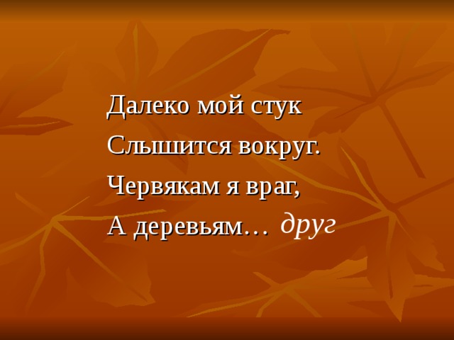 Далеко мой стук Слышится вокруг. Червякам я враг, А деревьям… друг