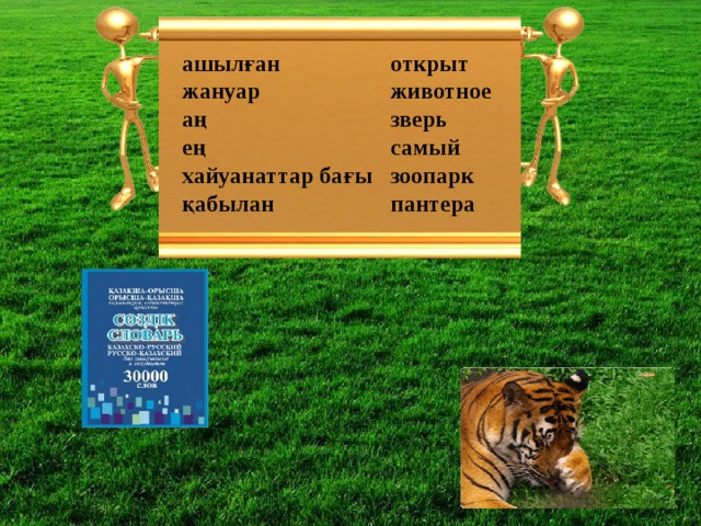 ашылған открыт животное жануар зверь аң ең самый хайуанаттар бағы зоопарк қабылан пантера