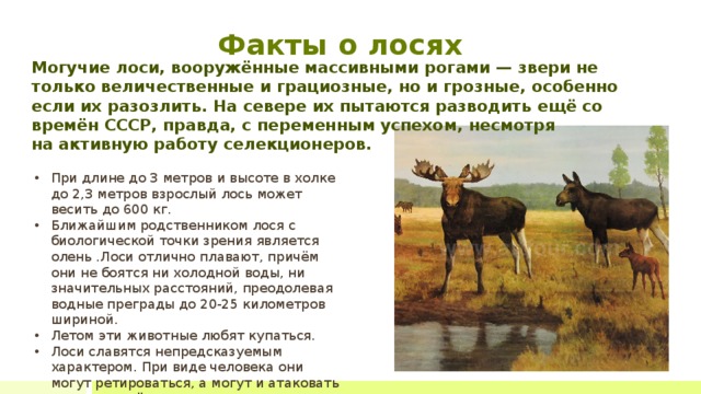 Вздрогнем если вдруг взметнется птица или лось протрубит вдалеке вид подчинения и схема