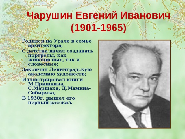 Чарушин Евгений Иванович  (1901-1965) Родился на Урале в семье архитектора; С детства начал создавать портреты, как живописные, так и словесные; Закончил Ленинградскую академию художеств; Иллюстрировал книги М.Пришвина, С.Маршака, Д.Мамина-Сибиряка; В 1930г. вышел его первый рассказ.      Знакомство с творчеством Е.И.Чарушина