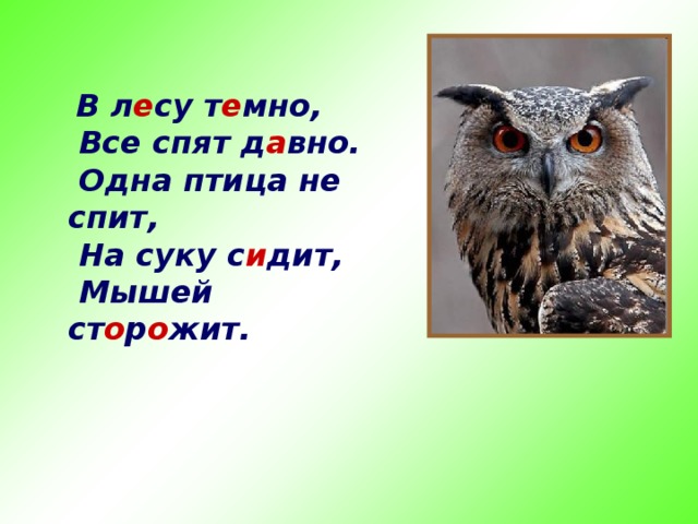 Отгадайте загадки. Напишите отгадки. В жарком лете я стою.  Шапкой зиму достаю. В корнях и реках обитает, Но часто по небу летает. А как наскучит ей летать, На землю падает опять. За тобою он плетётся,  Хоть на месте остаётся.   г о ра в о да сле д