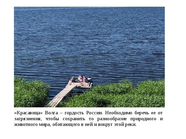 «Красавица» Волга – гордость России. Необходимо беречь ее от загрязнения, чтобы сохранить то разнообразие природного и животного мира, обитающего в ней и вокруг этой реки.