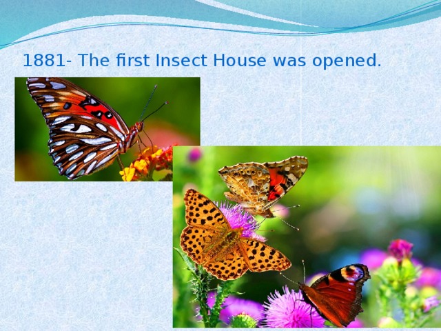 1881- The first Insect House was opened.
