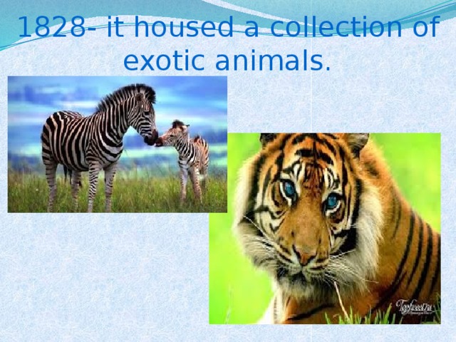 1828- it housed a collection of exotic animals.