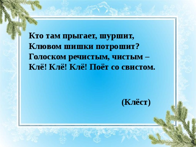 Кто там прыгает, шуршит,  Клювом шишки потрошит?  Голоском речистым, чистым –  Клё! Клё! Клё! Поёт со свистом.    (Клёст)