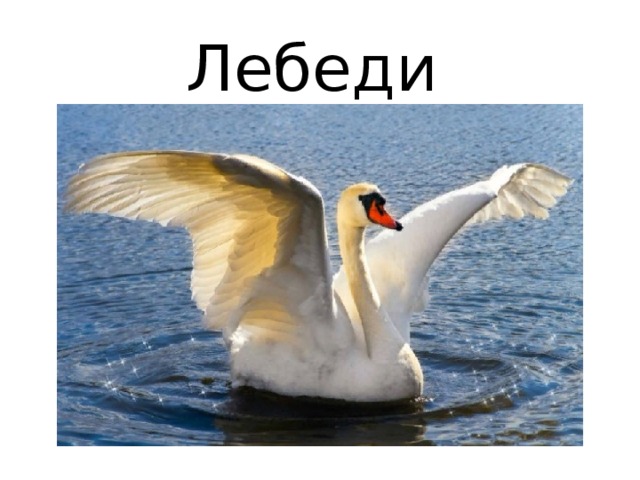 Лебеди