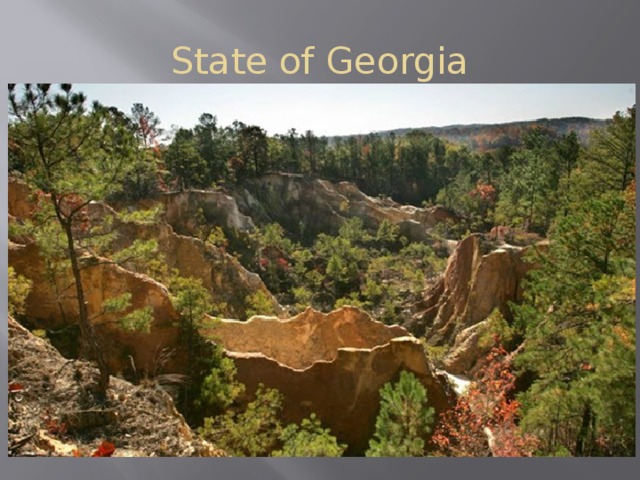 State of Georgia