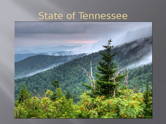 State of Tennessee