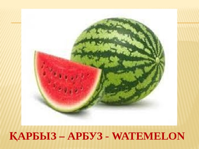 ҚАРБЫЗ – АРБУЗ - WATEMELON