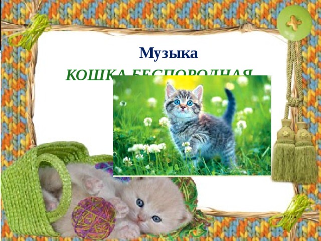 Музыка Кошка беспородная