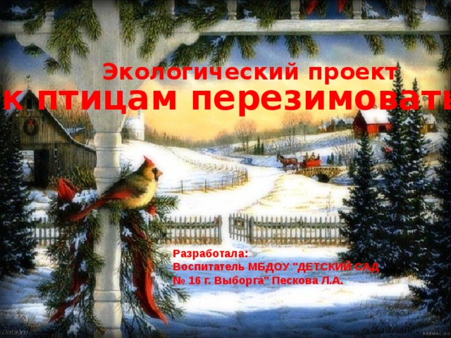 Экологический проект Как птицам перезимовать? Разработала: Воспитатель МБДОУ 