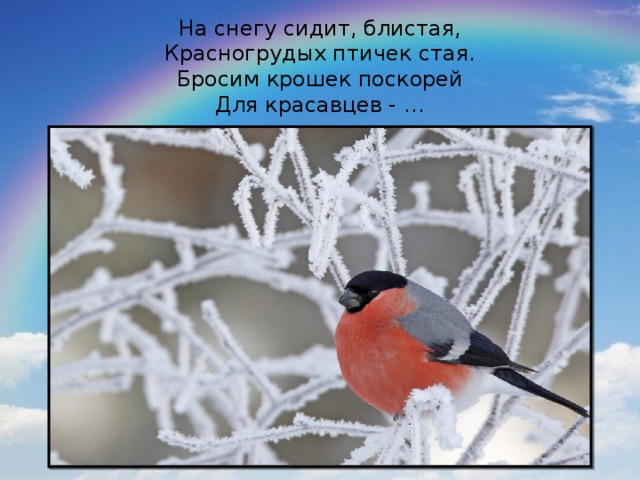 На снегу сидит, блистая,  Красногрудых птичек стая.  Бросим крошек поскорей  Для красавцев - …