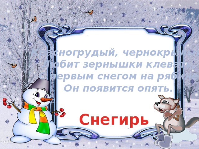 Красногрудый, чернокрылый,  Любит зернышки клевать,  С первым снегом на рябине  Он появится опять. Снегирь