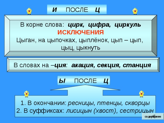 Как, когда, где, по какой причине  совершается действие. Мы собирали грибы в еловом . содержание