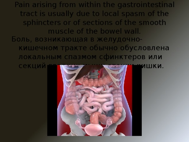 Pain arising from within the gastrointestinal tract is usually due to local spasm of the sphincters or of sections of the smooth muscle of the bowel wall. Боль, возникающая в желудочно-кишечном тракте обычно обусловлена локальным спазмом сфинктеров или секций гладких мышц стенки кишки.