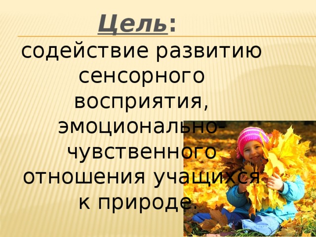 Цель : содействие развитию сенсорного восприятия, эмоционально-чувственного отношения учащихся к природе.