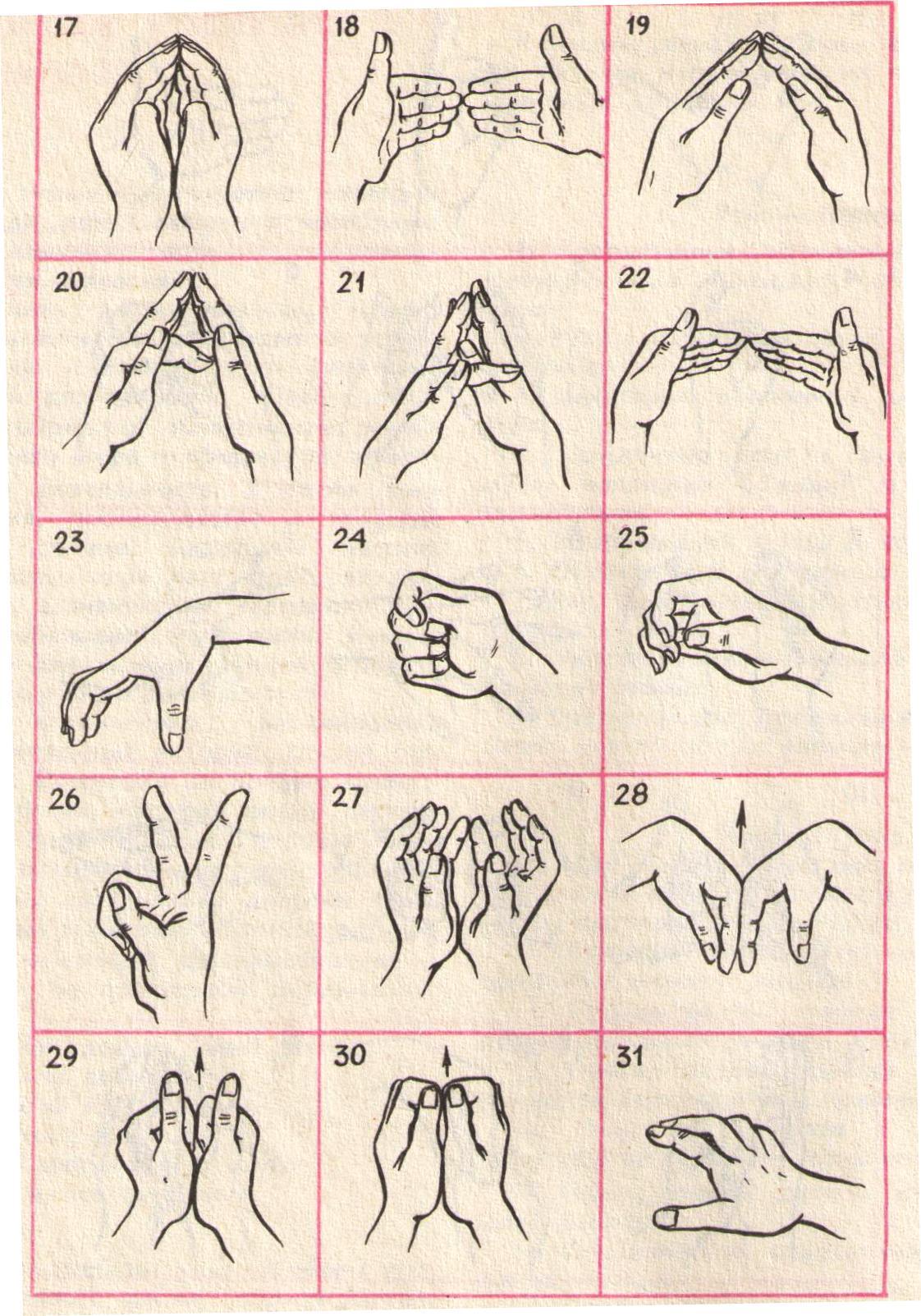 Пальцы рук и мозг. Нейрогимнастика гимнастика для пальцев. Гимнастика для кистей рук и пальцев. Упражнения для пальцев рук. Упражнения для кистей рук.