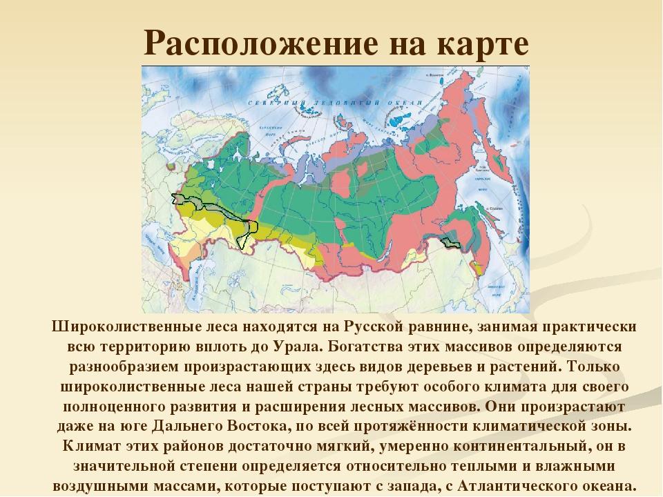 Природные зоны россии 4 класс окружающий мир конспект урока и презентация