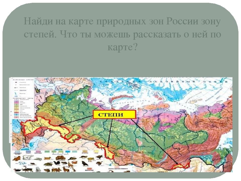 Степная зона рф. Карта зоны степей на территории России. Зона степей на карте России. Зоны степей географическая карта. Степи и лесостепи на карте России.