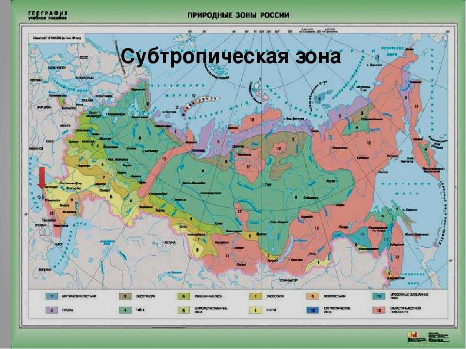 Проект по биологии природные зоны россии