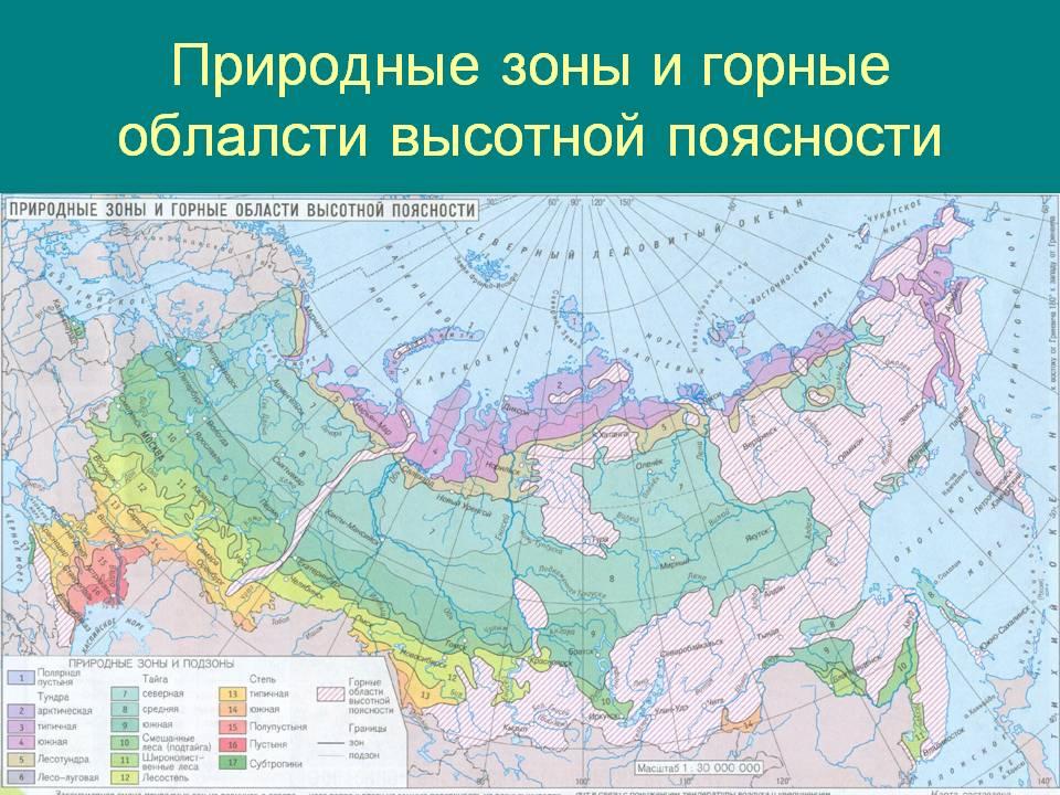 Самая маленькая по территории природная зона россии