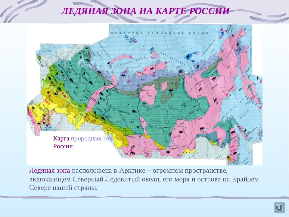 По карте природных зон определите на каких