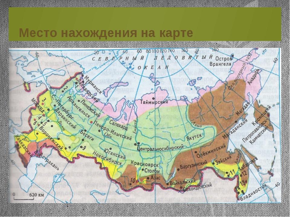 Карта россии природная зона россии