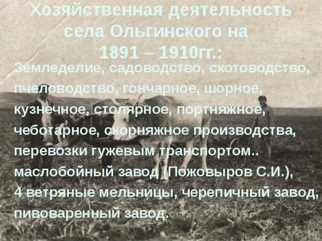 Хозяйственная деятельность села Ольгинского на  1891 – 1910гг.: Земледелие, садоводство, скотоводство, пчеловодство, гончарное, шорное, кузнечное, столярное, портняжное, чеботарное, скорняжное производства, перевозки гужевым транспортом.. маслобойный завод (Пожовыров С.И.), 4 ветряные мельницы, черепичный завод, пивоваренный завод.