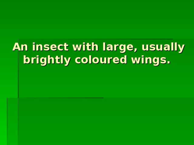 An insect with large, usually brightly coloured wings.