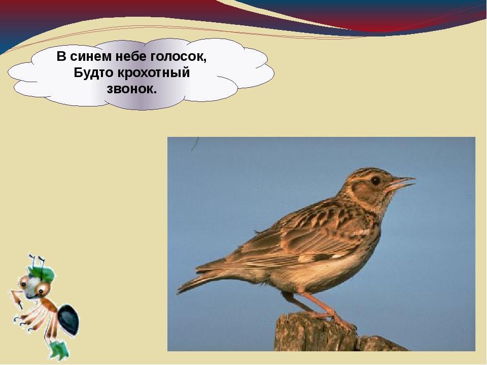 Технологическая карта урока по окружающему миру 1 класс где зимуют птицы