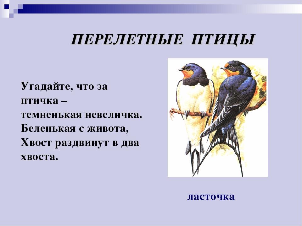 Где зимуют птицы 1 класс школа россии презентация