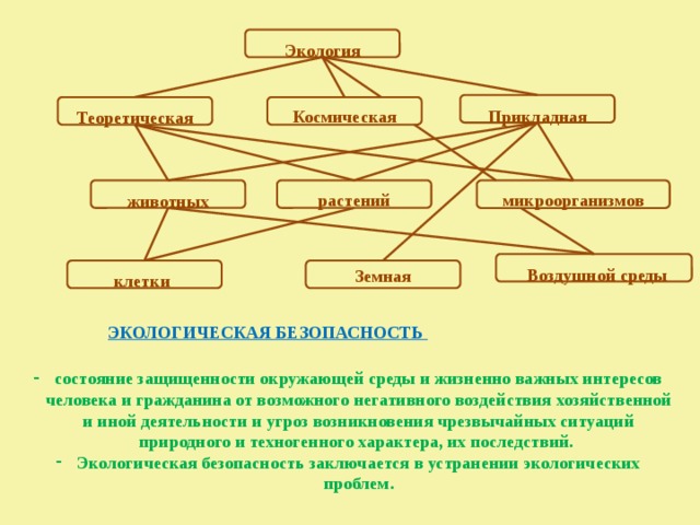 Экология Космическая Прикладная Теоретическая микроорганизмов растений животных Воздушной среды Земная клетки ЭКОЛОГИЧЕСКАЯ БЕЗОПАСНОСТЬ состояние защищенности окружающей среды и жизненно важных интересов человека и гражданина от возможного негативного воздействия хозяйственной и иной деятельности и угроз возникновения чрезвычайных ситуаций природного и техногенного характера, их последствий. Экологическая безопасность заключается в устранении экологических проблем.