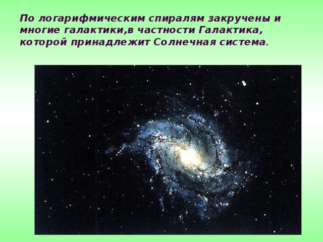 По логарифмическим спиралям закручены и многие галактики,в частности Галактика, которой принадлежит Солнечная система .