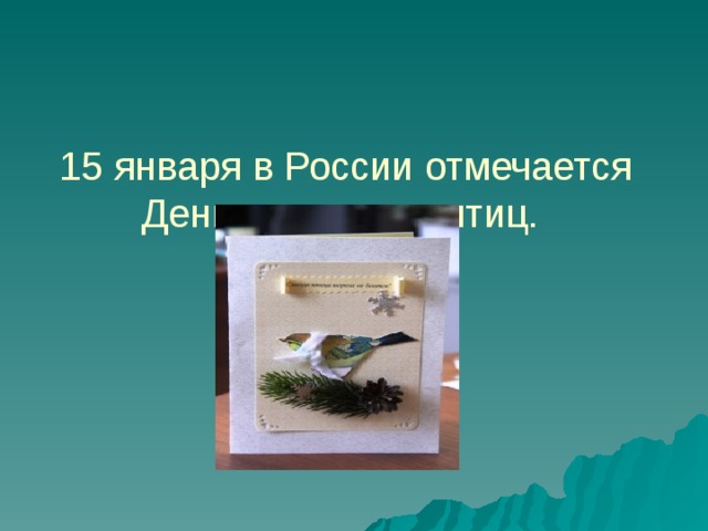 15 января в России отмечается День зимующих птиц.