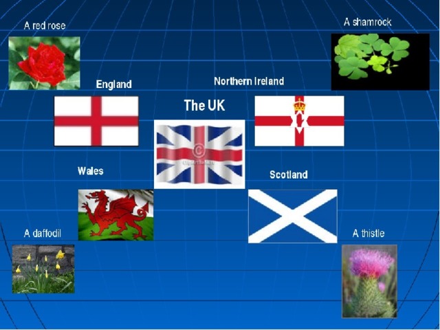 Страны великобритании. Символы Англии Шотландии Уэльса и Ирландии. Символы Соединенного королевства Великобритании и Северной Ирландии. Столицы Англии Шотландии Уэльса и Северной Ирландии. Великобритания Шотландия Уэльс.