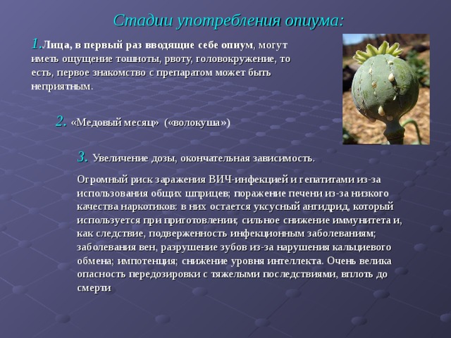 Стадии употребления опиума: 1. Лица, в первый раз вводящие себе опиум , могут иметь ощущение тошноты, рвоту, головокружение, то есть, первое знакомство с препаратом может быть неприятным.  2. «Медовый месяц» («волокуша ») 3. Увеличение дозы, окончательная зависимость. Огромный риск заражения ВИЧ-инфекцией и гепатитами из-за использования общих шприцев; поражение печени из-за низкого качества наркотиков: в них остается уксусный ангидрид, который используется при приготовлении; сильное снижение иммунитета и, как следствие, подверженность инфекционным заболеваниям; заболевания вен, разрушение зубов из-за нарушения кальциевого обмена; импотенция; снижение уровня интеллекта. Очень велика опасность передозировки с тяжелыми последствиями, вплоть до смерти