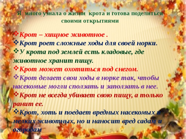 Я много узнала о жизни крота и готова поделиться своими открытиями