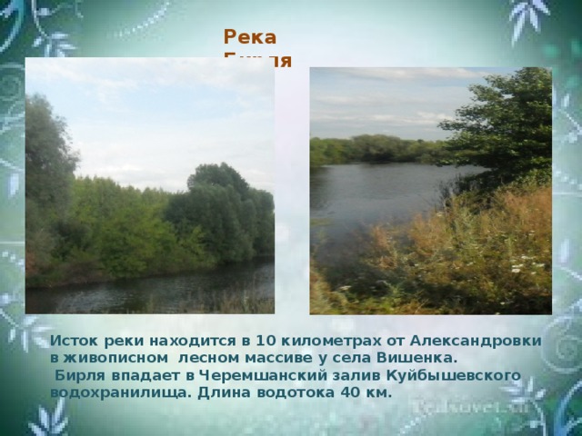 Река Бирля Исток реки находится в 10 километрах от Александровки в живописном лесном массиве у села Вишенка.  Бирля впадает в Черемшанский залив Куйбышевского водохранилища. Длина водотока 40 км.
