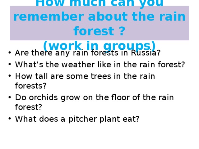How much can you remember about the rain forest ?  (work in groups)