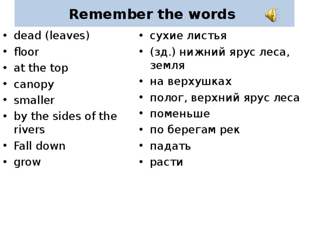 Remember the words