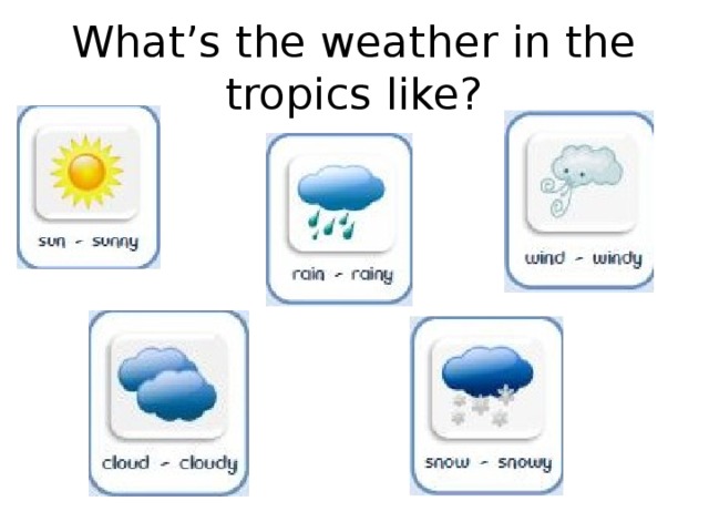 What’s the weather in the tropics like?