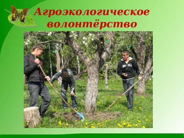 Агроэкологическое волонтёрство
