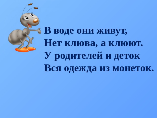 В воде они живут, Нет клюва, а клюют. У родителей и деток Вся одежда из монеток.