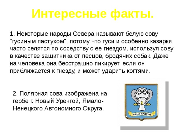 Интересные факты. 1. Некоторые народы Севера называют белую сову 